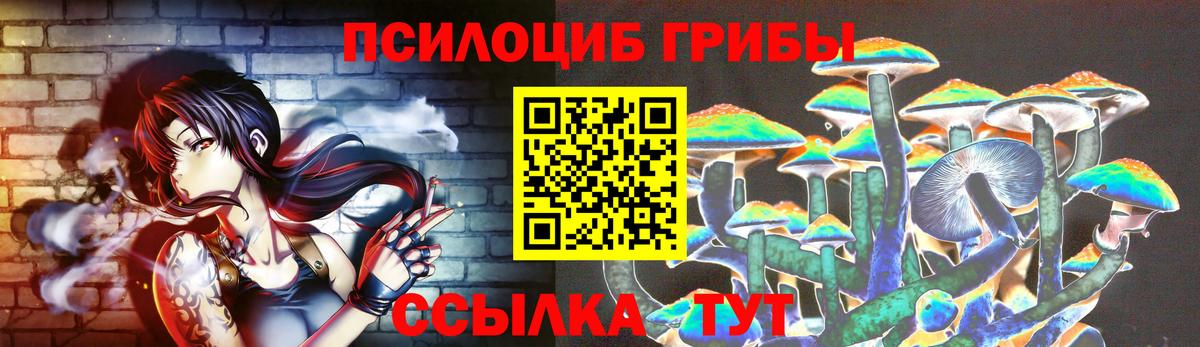 как найти закладки  Буйнакск  Галлюциногенные грибы Psilocybe 